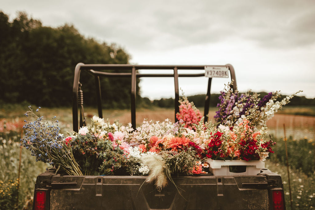 Valise de quatre roues remplie de fleurs coupées